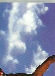1998 Upper Deck Michael Jordan Stickers #3 Michael Jordan Front