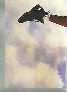 1998 Upper Deck Michael Jordan Stickers #8 Michael Jordan Front